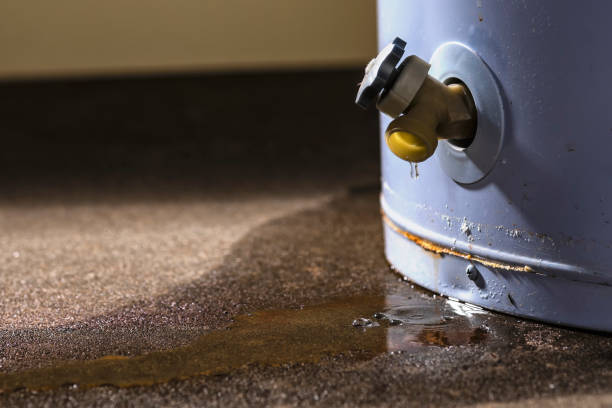 Best Water damage repair service  in Dallas, OR