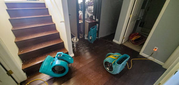 Trusted Dallas, OR Water damage restoration Experts