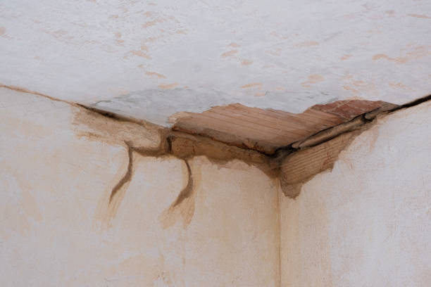 Best Basement water damage restoration  in Dallas, OR