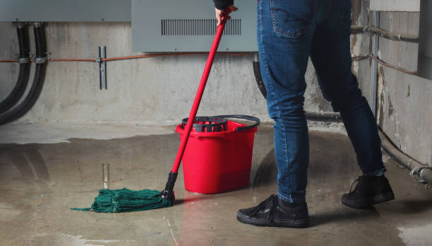 Best Flood damage cleanup  in Dallas, OR