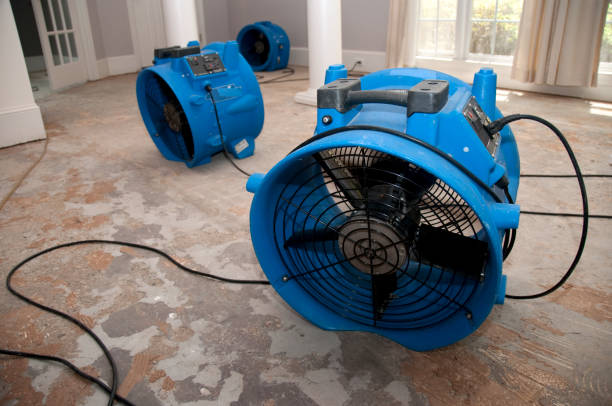 Best Professional water damage repair  in Dallas, OR