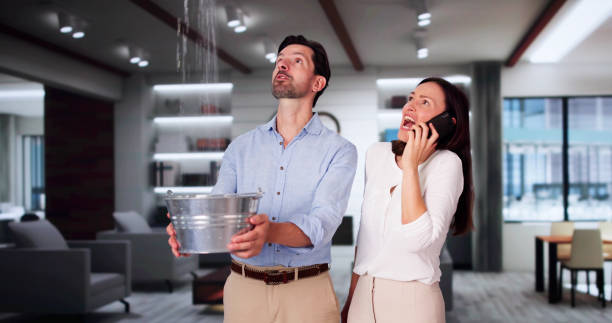 Best Water damage restoration near me  in Dallas, OR