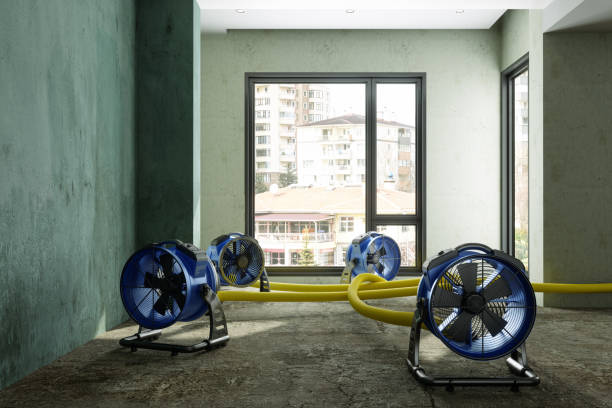 Best Water damage restoration near me  in Dallas, OR
