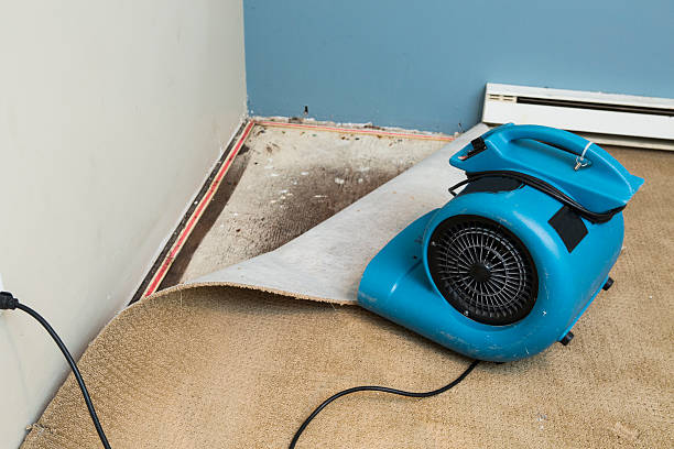 Best Ceiling water damage repair  in Dallas, OR